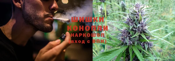 не бодяженный Инсар