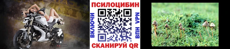 Галлюциногенные грибы MAGIC MUSHROOMS  Курск 