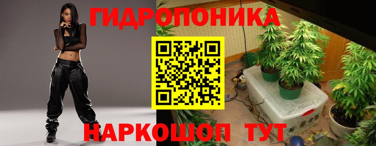 Канабис план  Конопля гибрид  Вход с VPN  МАРИХУАНА MAZAR  Канабис индика  Курск 